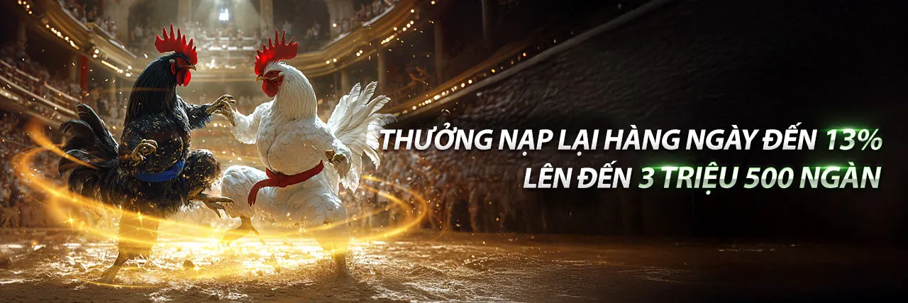 Trận đấu đá gà kịch tính tại 7789bet